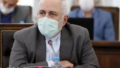 محمد جواد ظریف
