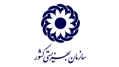 بهزیستی