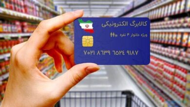 کالا برگ جدید